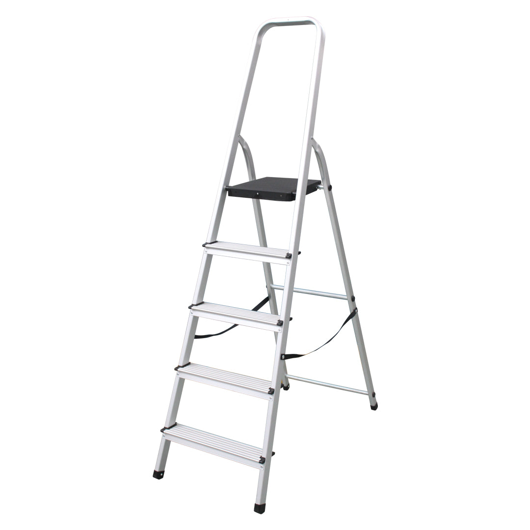 6 Step Ladder