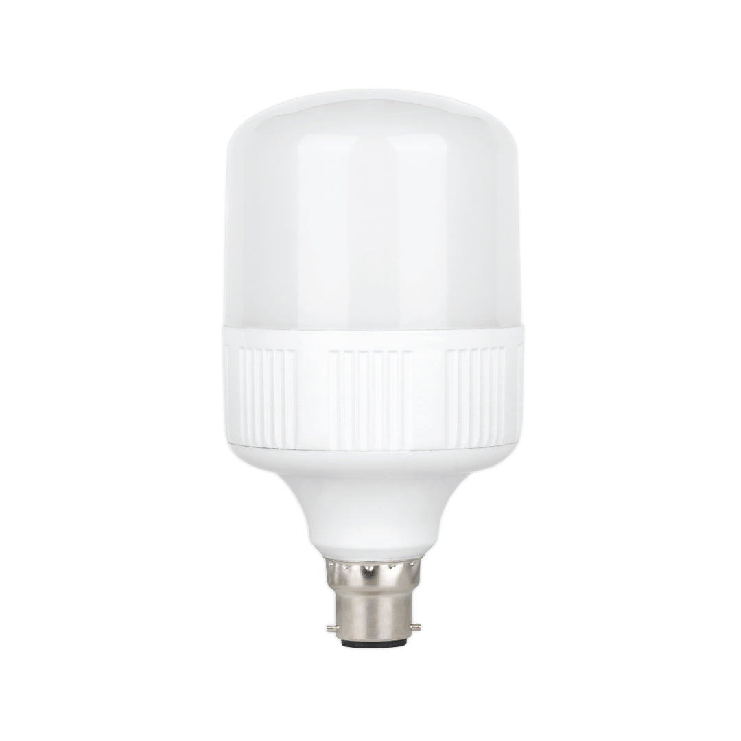 40W LED Standard Bulb (E22-Pin)