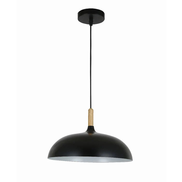 Modern Pendant Light (PL 7684-BK)
