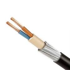 16mm 2Core Armoured Cable