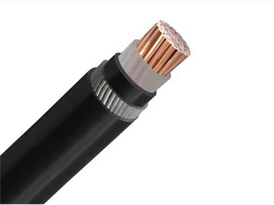 Cable Armoured 630MM Single (AR 6300-01)