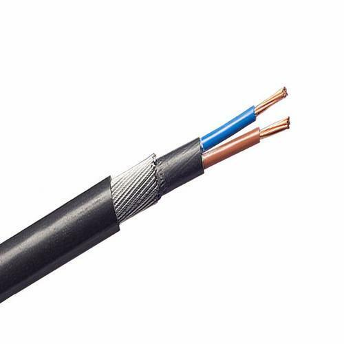 TRONIC CABLE 10MM 2 CORE ARMOURED - MT ARMR 02-0100