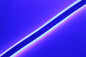 DS NEON - (Per m)