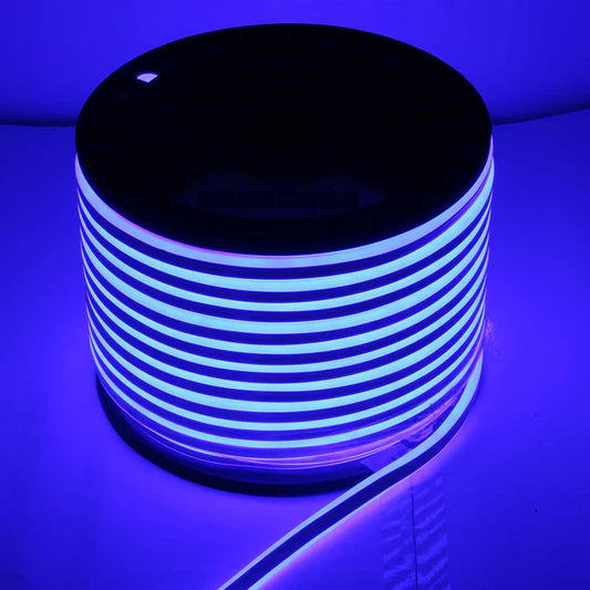 Blue LED Strip Light – 100m Roll, IP65 Waterproof (DS NERO-BL)