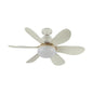 Fan Light Flower Shaped 40W IP33 (EST FLWR-01-TC)