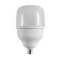 60W LED Standard Bulb (E22-Pin) (LE 6022-DL)