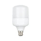 30W LED Standard Bulb (E22-Pin)
