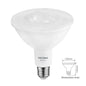 LED PAR38 Bulbs