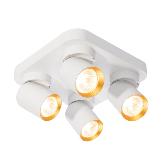 Spot Light Round 4 Head (LL 1024-04-01-GU-)
