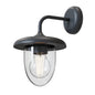 Vintage Style Wall Light (LL 5001-BK)