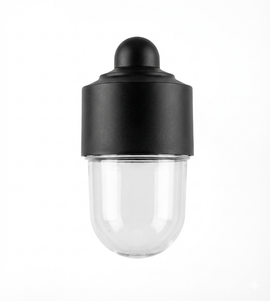 Oval Shaped Traditional Outdoor Wall Light (LL 5004-BK)