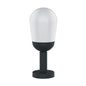 LL 505C-BK