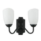 Modern Double Wall Light with Frosted Glass Shades (PL 7031-27-2A-)