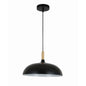 Modern Pendant Light (PL 7684-BK)
