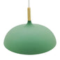 Modern Green Pendant Lamp with Wooden Accent (PL 7684-GR)
