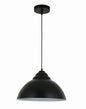 Black Dome Hanging Light (PL 7812-BK-WH)