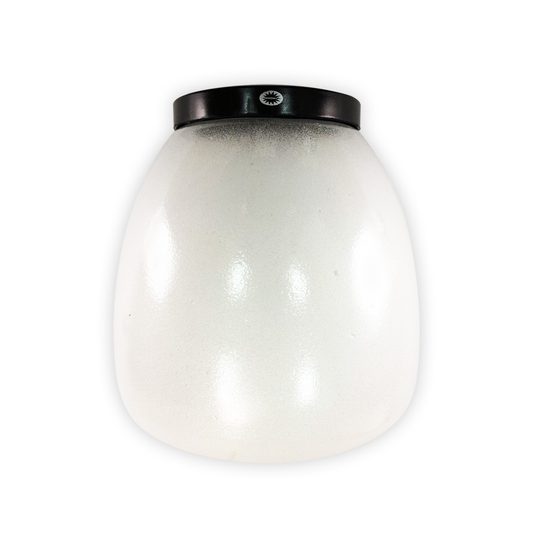 Sandblasted Glass Ceiling Light (TG MONN-20-10-1B)
