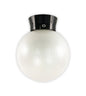Globe Ceiling Light (TG MONG-20-10-1B)