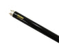 T8 18W UV Blacklight Tube | Ultraviolet Fluorescent Lamp (TU T818-UV-BK)