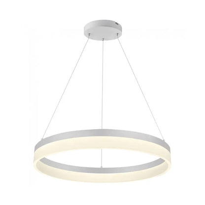 Modern Large Single Pendant Light (WH 011A-C2-48-DL)