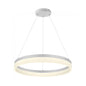 Modern Large Single Pendant Light (WH 011A-C2-48-DL)