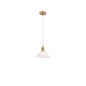 Vintage Brass Pendant Light 1*E27 (PL 2024-08-GL-CL)