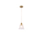 Vintage Floral Crystal Pendant Light 1*E27 (PL 2024-13-GL-CL)